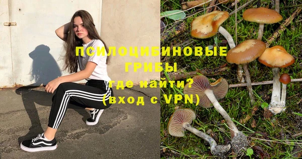 PSILOCYBIN Дмитров